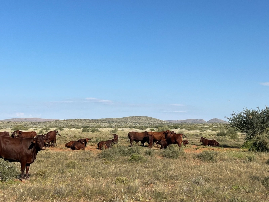 0 Bedroom Property for Sale in Upington Rural Northern Cape